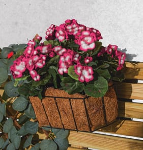 Jardin Artificial Balcony Planter - Pink