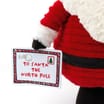 Sleigh Bells Santa Pull Up