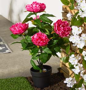 Jardin Artificial Peony