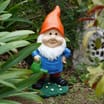 Jardin Decorative Resin Gnome