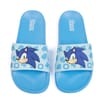 Sonic The Hedgehog Slides