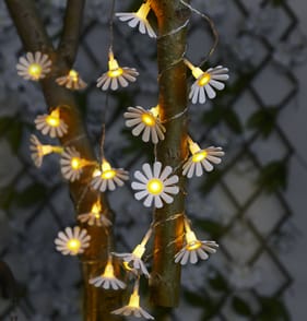 Firefly 20 Solar Daisy String Lights