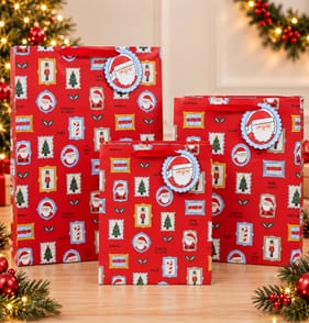Festive Feeling Gift Bag Set - Santa