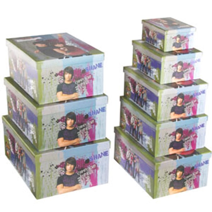 Camp Rock: 8 Stacking Storage Boxes