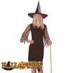 Halloween Adult Spider Web Witch