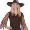 Halloween Adult Spider Web Witch