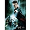 Harry Potter Glow-in-the-Dark Puzzle - Harry