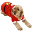 Pet Santa Suit