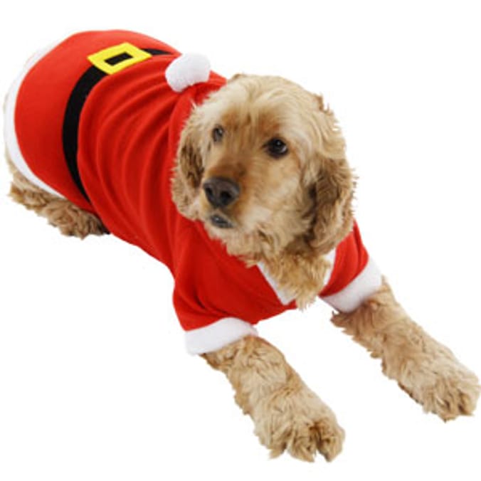 Home bargains hot sale dog coats