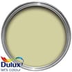 Dulux PaintPod Emulsion Matt: Melon Sorbet 5L