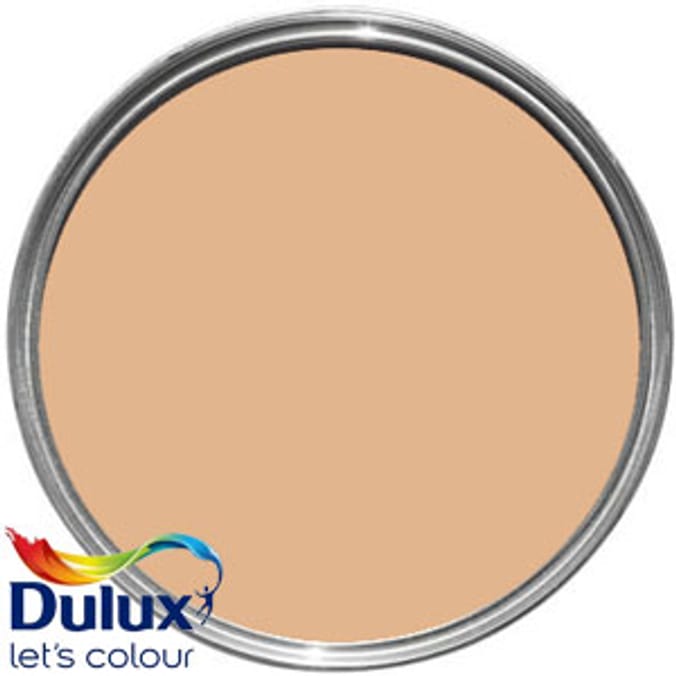 Dulux PaintPod Emulsion Matt Sunbaked Terracotta 5L Home Bargains