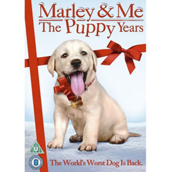 Marley and Me: The Puppy Years DVD