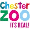 Chester Zoo Its Real