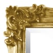 Champagne Gold Ornate Mirror (90 x 60cm)