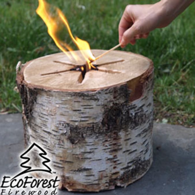 EcoForest Light 'n' Go Bonfire Log | Home Bargains