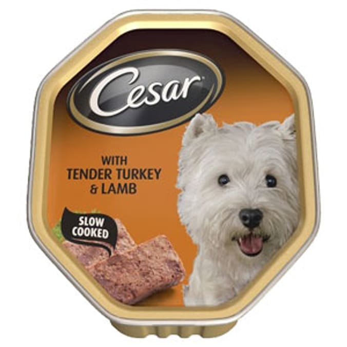 Cesar With Tender Turkey & Lamb (14 x 150g Trays), dog food, pet food