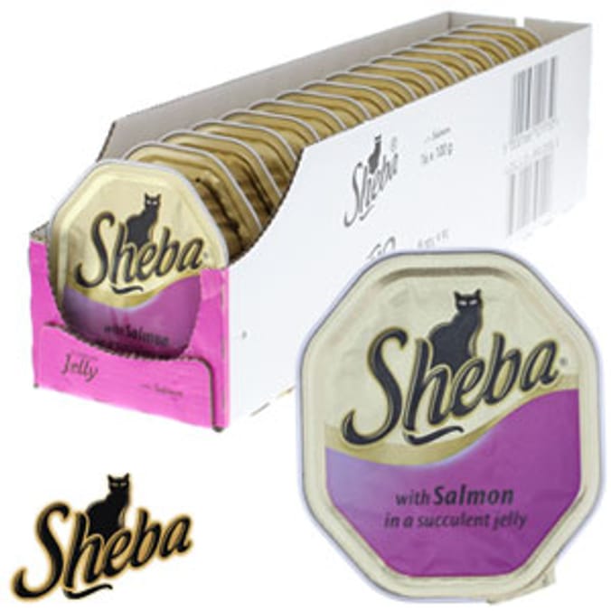 Sheba Salmon in Succulent Jelly (16 x 100g Trays) cat food tins trays sachets Home Bargains