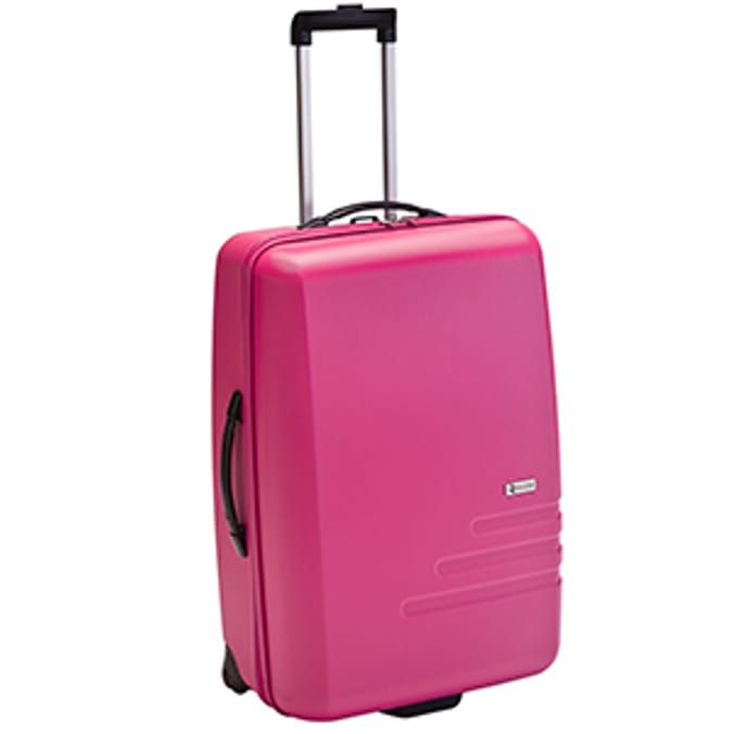 Home bargains online luggage