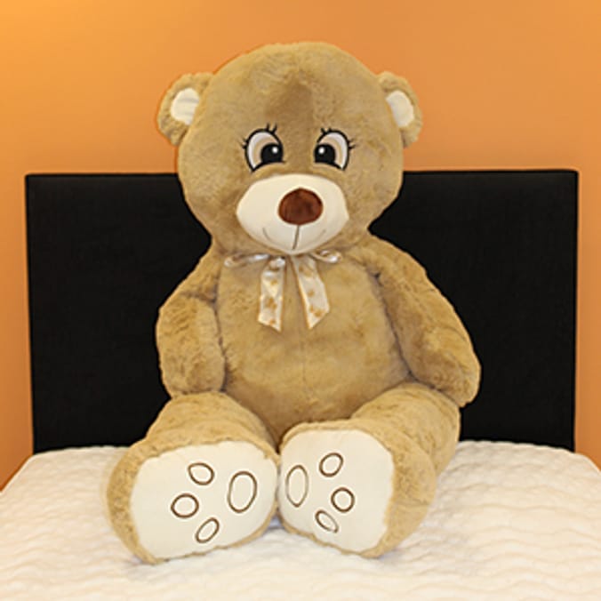 Giant teddy bear store home bargains