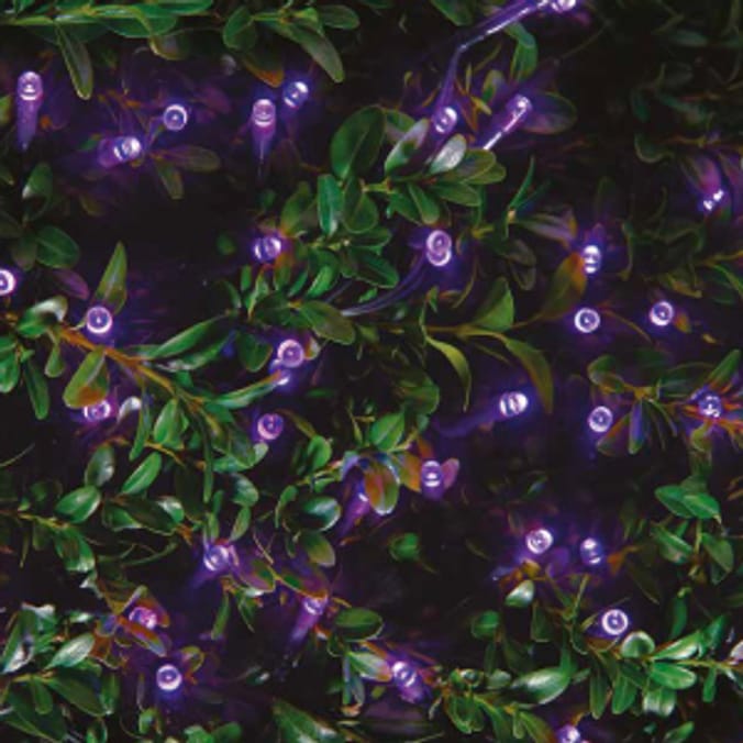 Firefly 100 LED Solar Power String Lights (Purple) fairy lights outdoor