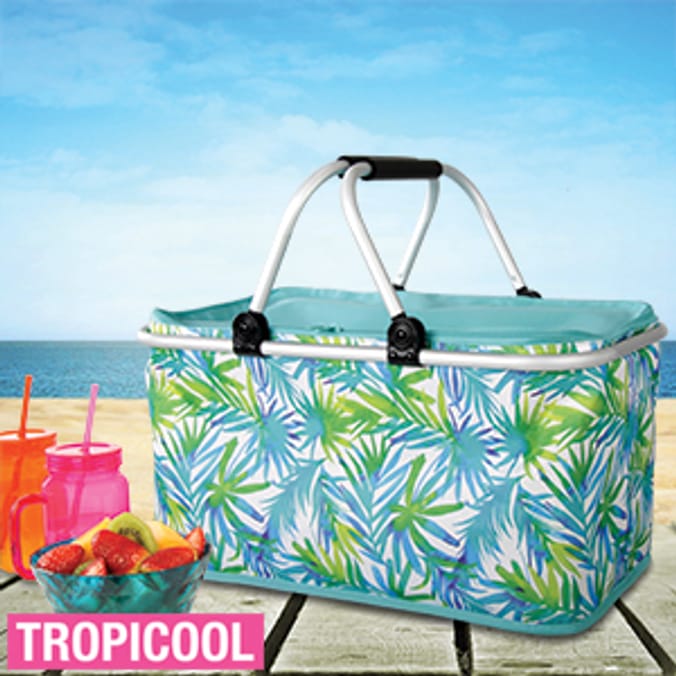 Tropicool Picnic Basket Home Bargains