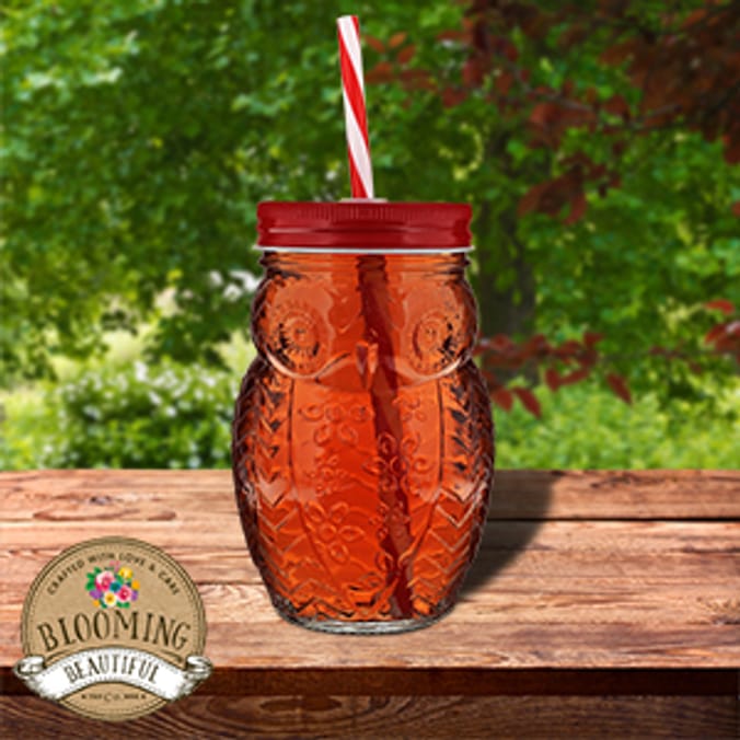 Mason Glass Drinking Jar with Straw (Case of 24) bbq barbecue jam