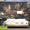 1Wall Central Park Giant Wallpaper Mural 