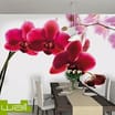 1Wall Flowers Giant Wallpaper Mural 