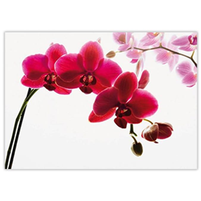 1Wall Flowers Giant Wallpaper Mural 