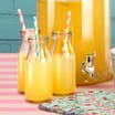 Blooming Beautiful Plastic Milk Bottles (Case of 48)