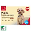 Puppy Deluxe Training Pads: Case of 160 Pads