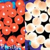 Prestige Lighting: 200 Indoor Berry Lights