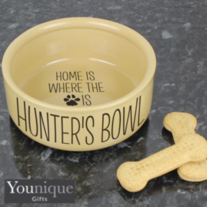 Home bargains dog on sale bowls