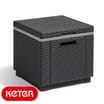 Keter Ice Cube Storage Box