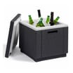 Keter Ice Cube Storage Box