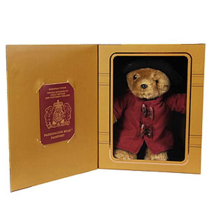 Paddington Bear in a Case