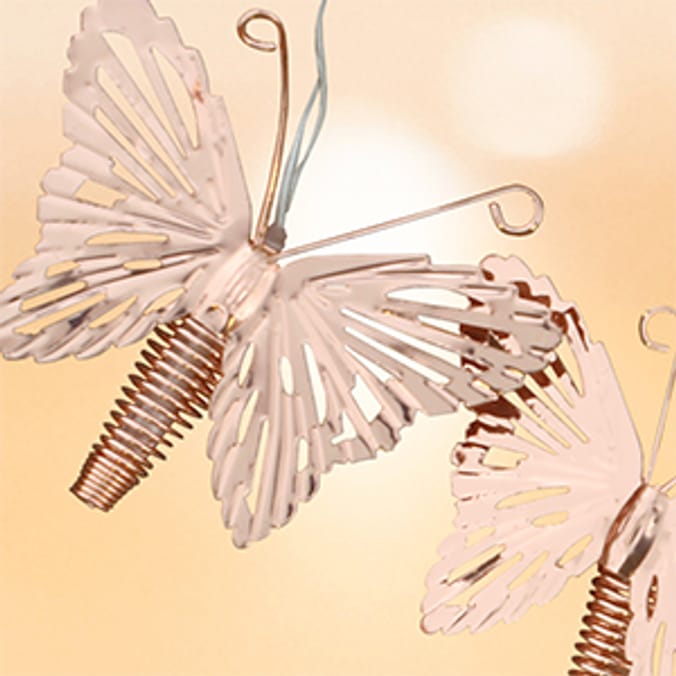 You & Me: Warm White 10 LED Butterfly Lights