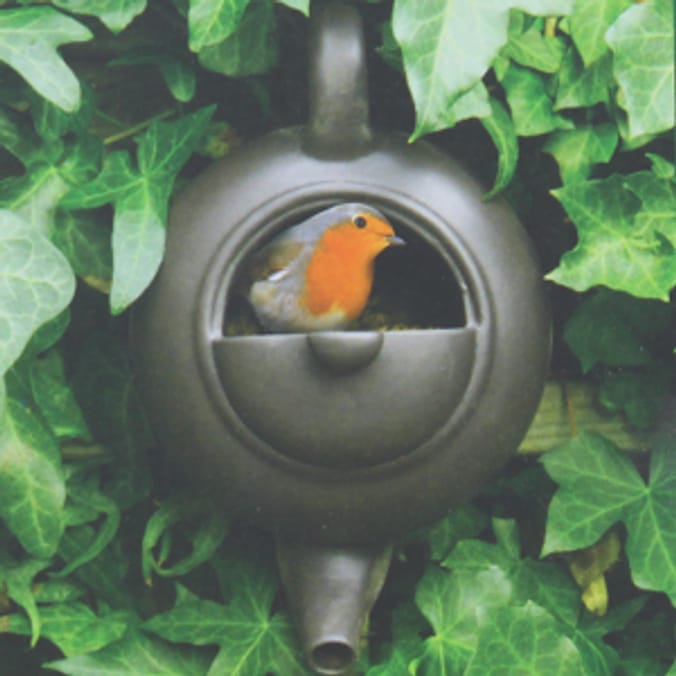 The Gifted Gardener: Teapot Bird Nest