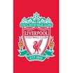 Liverpool F.C. Rug