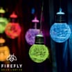 Firefly: 10 Glass Orb LED String Solar Lights