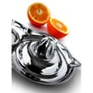 2 Juicy Stainless Steel Juicer