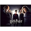 Harry Potter Glow-in-the-Dark Puzzle - Heroes