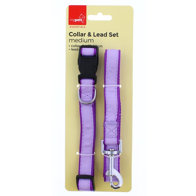 Collar & Lead Set in Purple