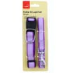 Collar & Lead Set in Purple