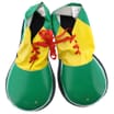 Novelty Clown Shoes