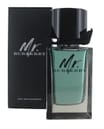 Burberry Mr Burberry 100ml EDT Spray