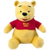 Disney Winnie the Pooh Plush Bear