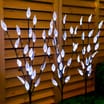 Firefly: 60 LED Solar Powered Branch Lights - White