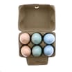 Wild Kingdom Dino Egg Fizzers (Case of 12)