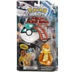 Pokemon Throw Poke Ball